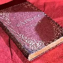 IMG_7426.webp