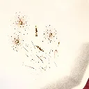 IMG_7621.webp