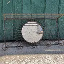 IMG_6305.webp