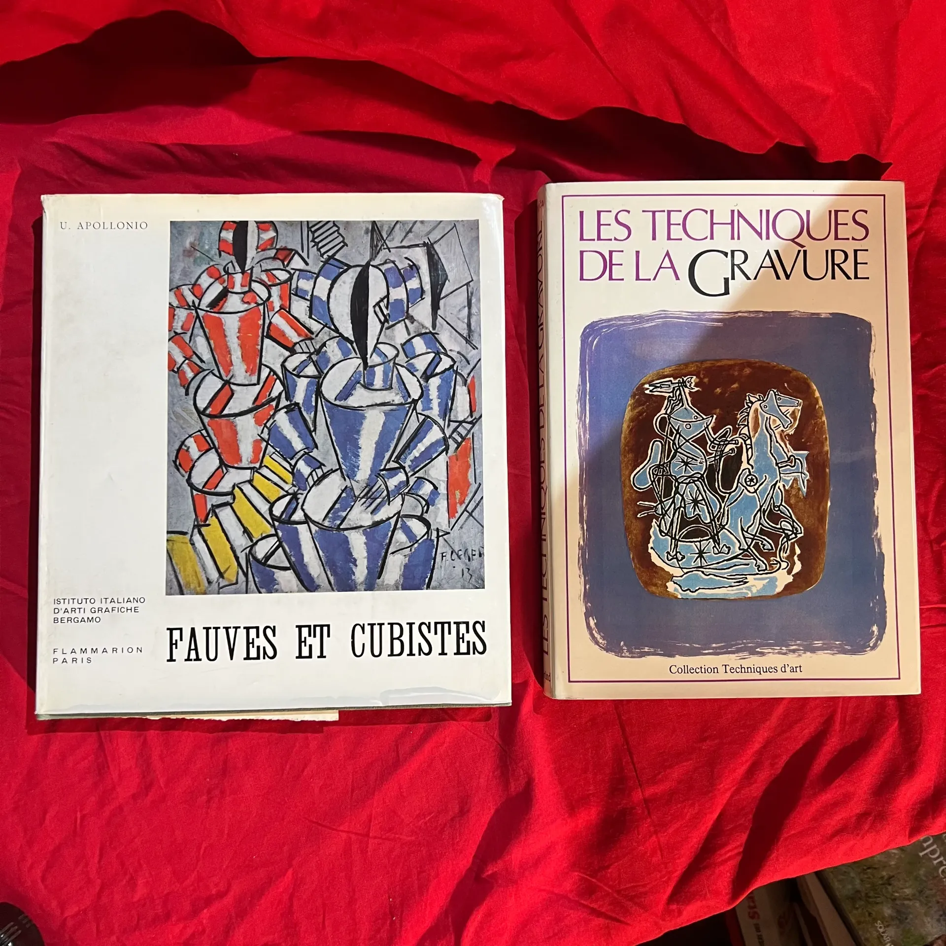 Lot 2 grands livres cubistes et gravure