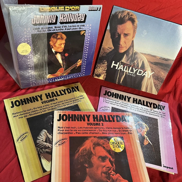 Lot 5 vinyles Johnny Hallyday 33T – Disques d’or + Gang – rock français
