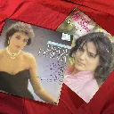 Lot 2 vinyles 33T Linda de Suza