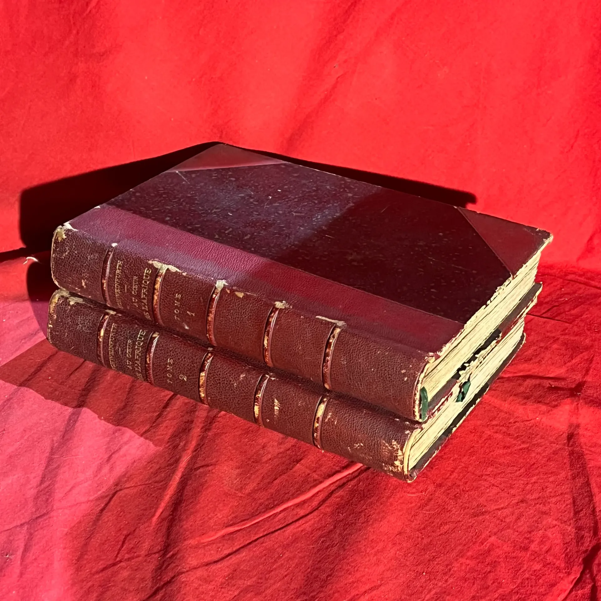 Lot de 2 livres anciens : Au cœur de l’Afrique tome 1 et 2 (1875)