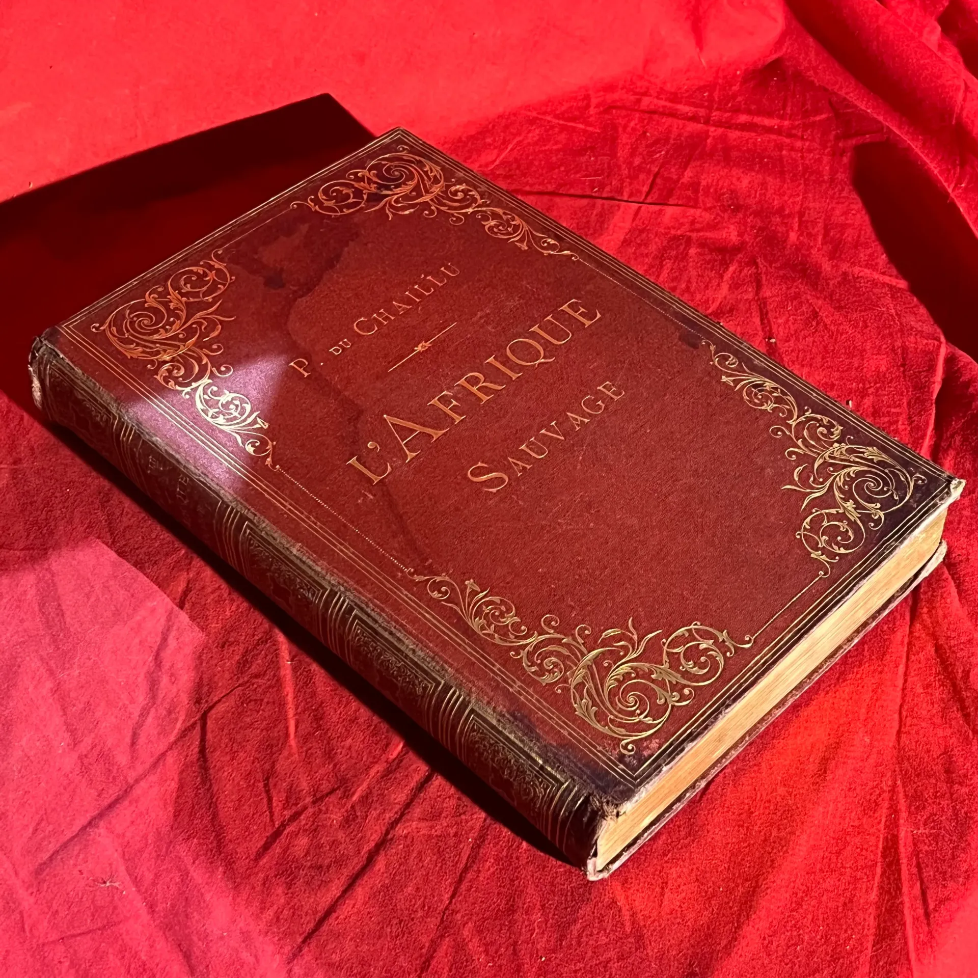 L’Afrique sauvage (1868)