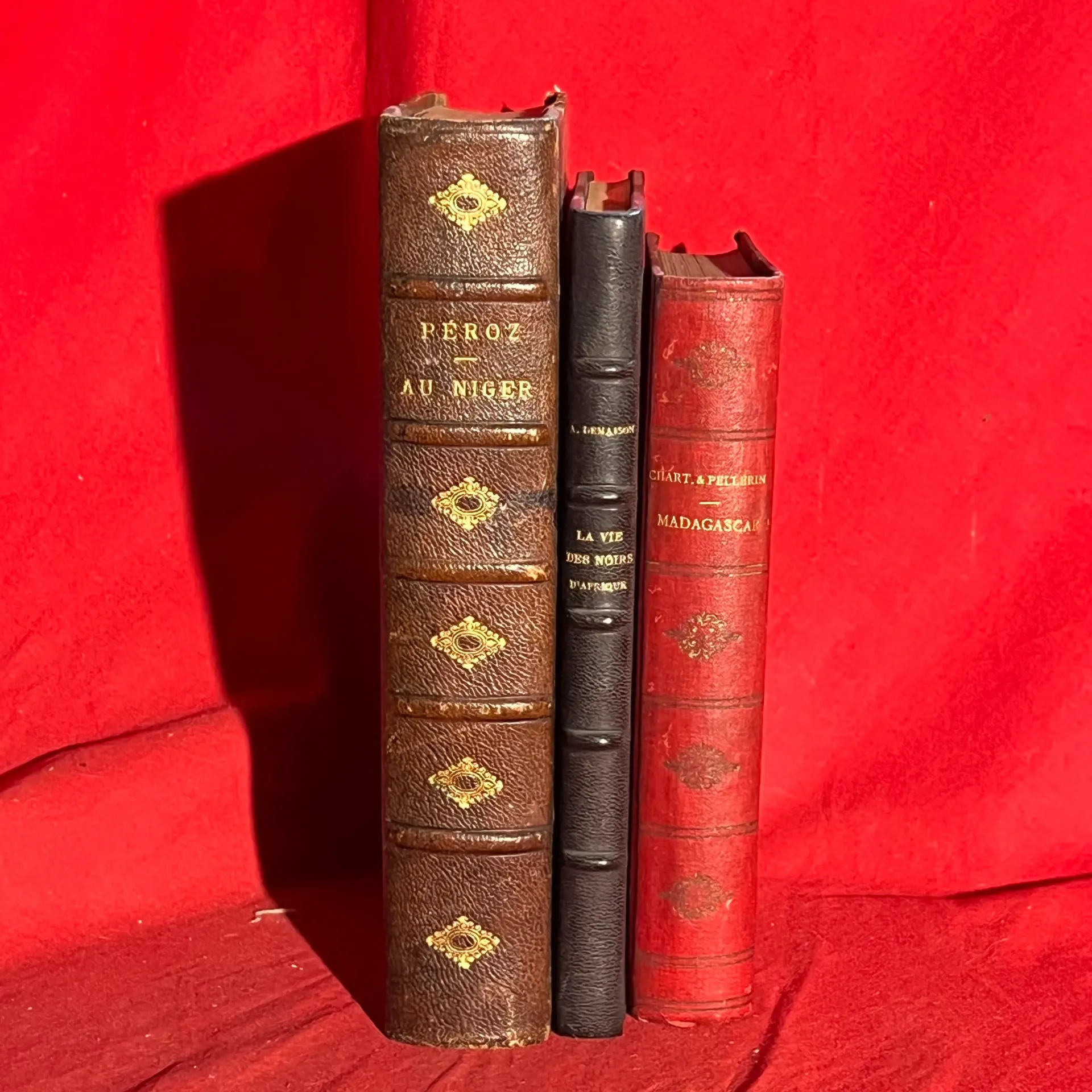 Lot 3 livre Afrique