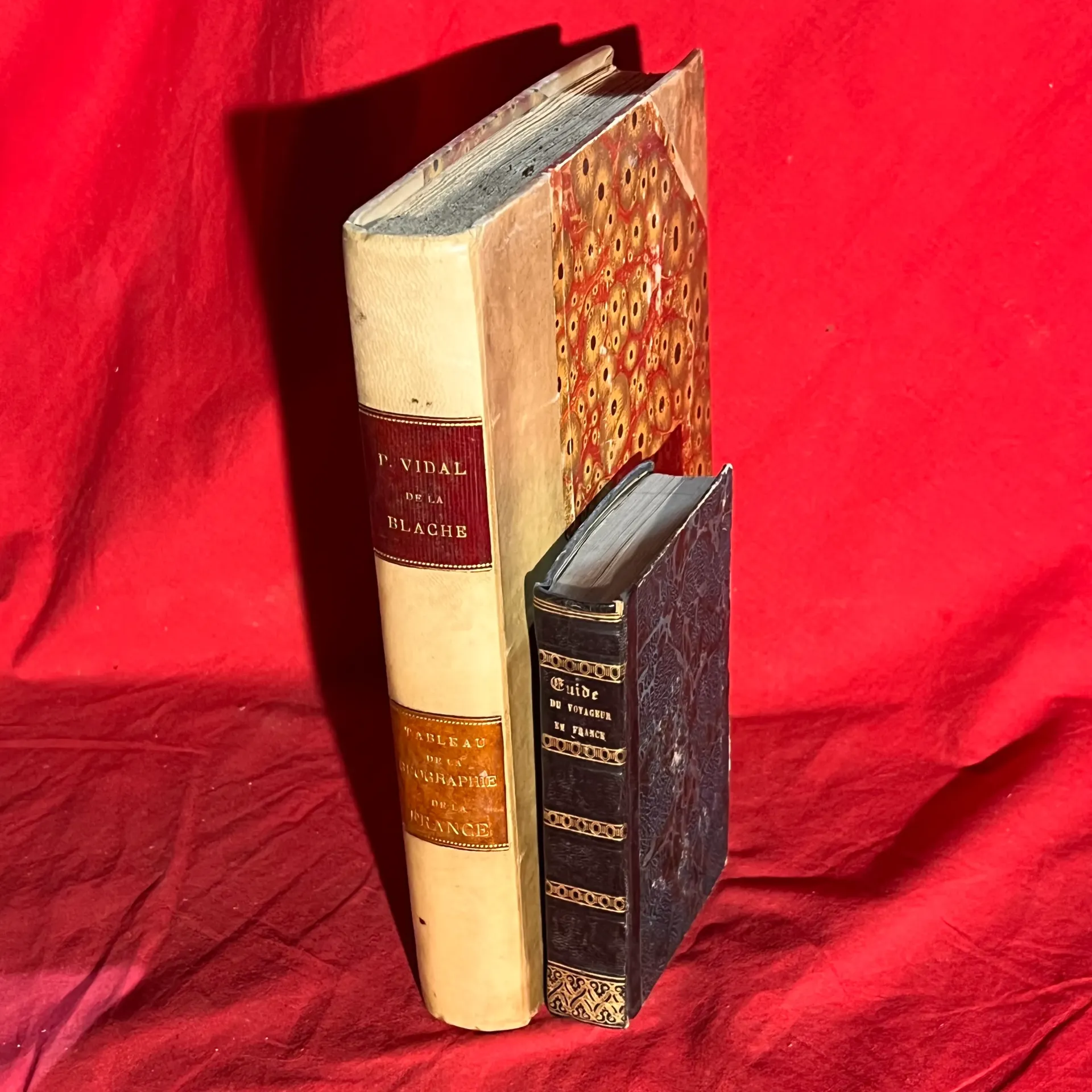 Lot de 2 livres sur la France