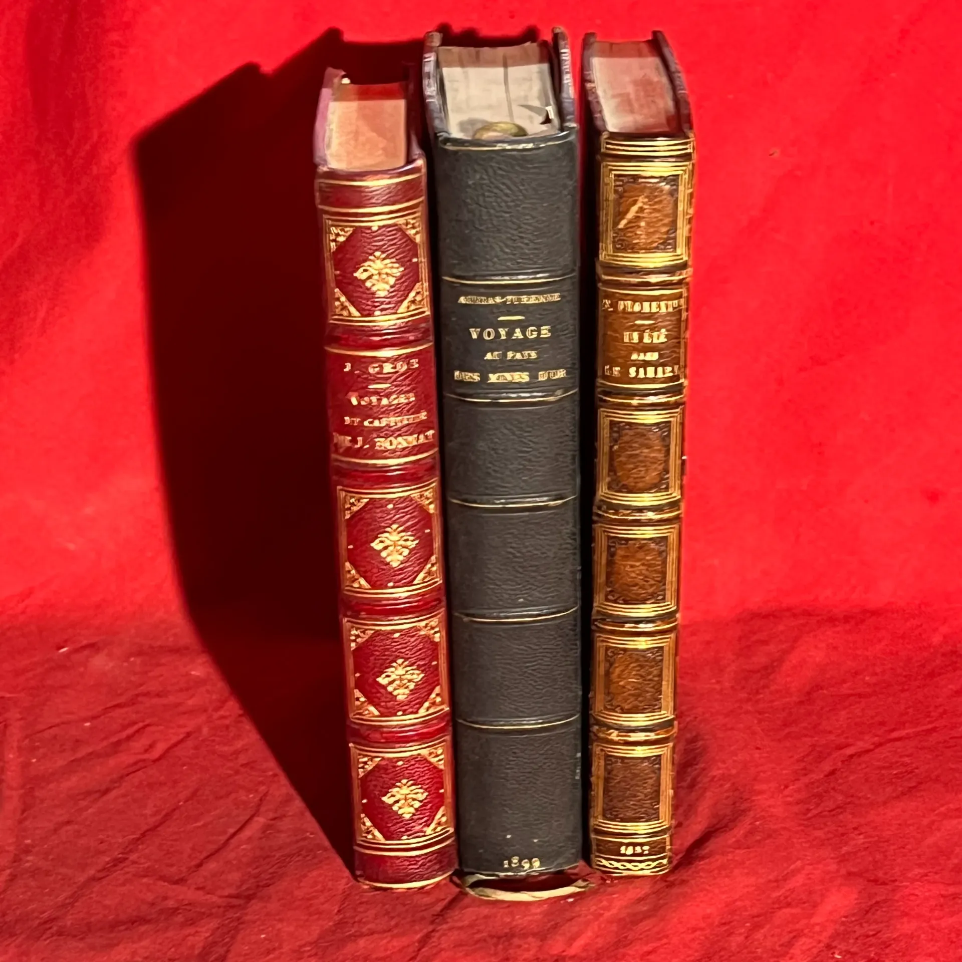 Lot de 3 livres sur les voyages