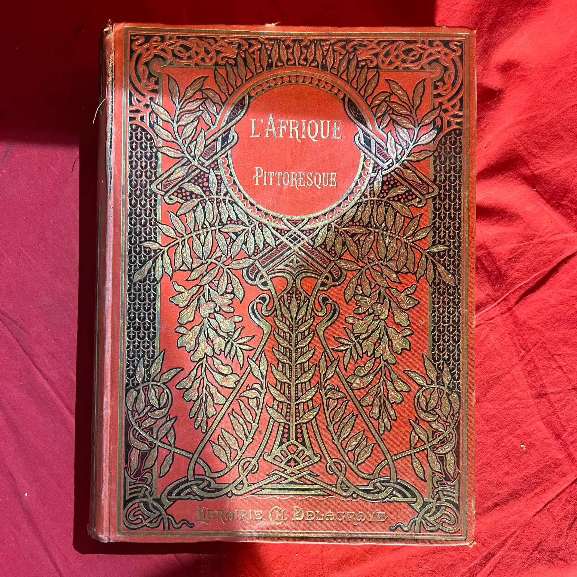 L’Afrique pittoresque