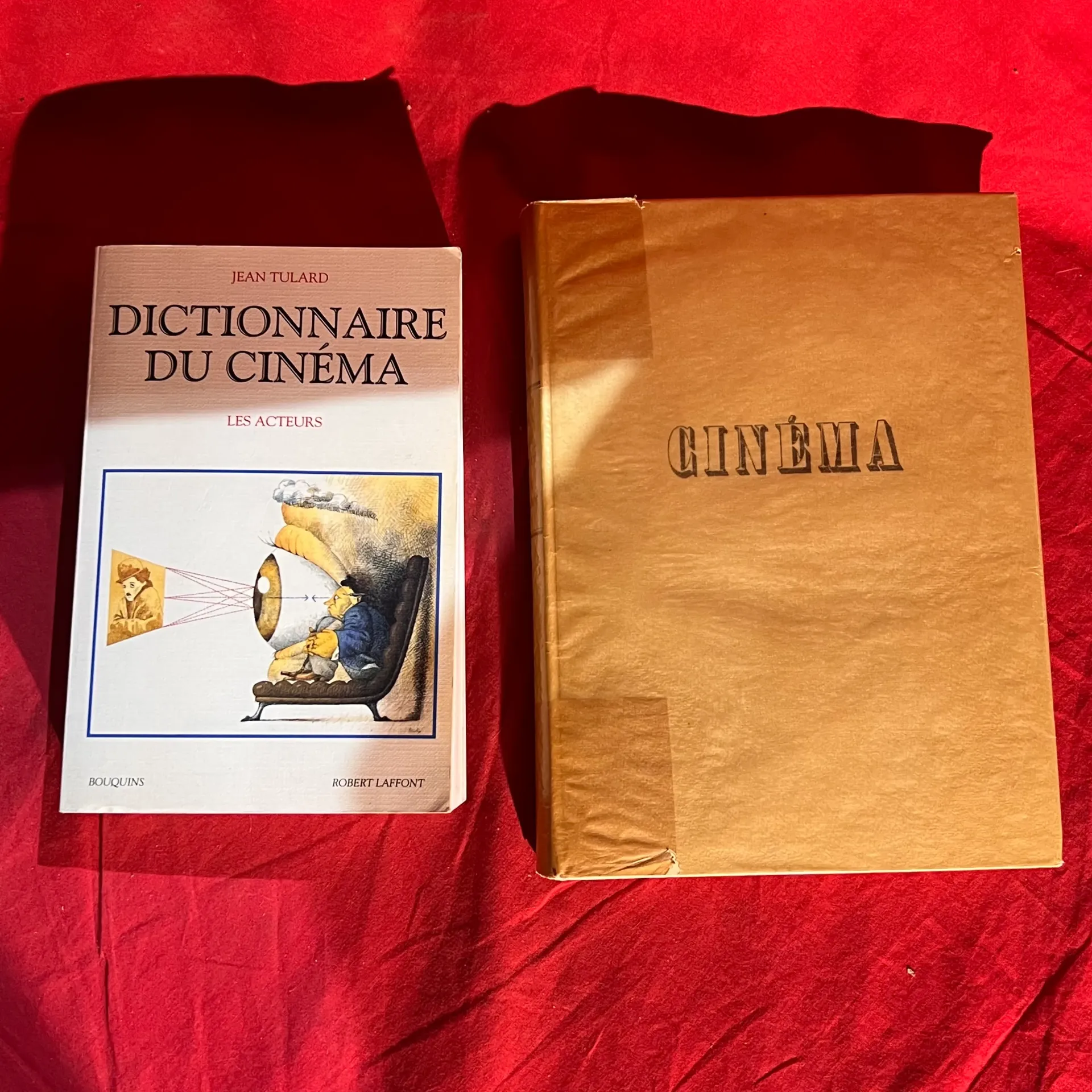 Lot 2 livre sur le cinéma